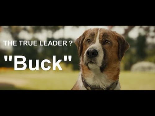 Alan Walker - The True Leader What's Your Name? "Buck"