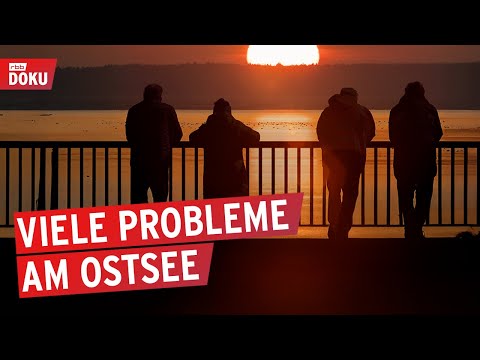 Wie weiter am Ostsee? Brandenburgs größter See entsteht | Doku