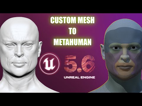 Custom Mesh To Metahuman In Unreal Engine 5.6