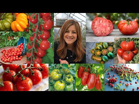 Tomato Planting Basics + The 26 Varieties Weβre Growing From Seed This Year! π
πΏπ€€ // Garden Answer