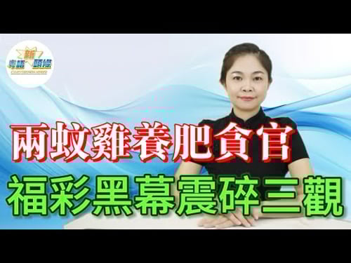 震驚!45萬資助名單抄百度!你買的兩蚊雞彩票,博緊百萬夢,年收狂攞6000億,點知原來幫人供豪宅?公益金變私人提款機,福彩貪腐大揭秘:呢塊「唐僧肉」,究竟餵肥咗邊個?|彩票|貪腐|公益金|粵語