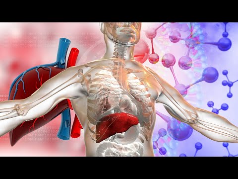 KILLS Toxins in the Liver & Heals Neurons (EMDR Binaural & Bilateral Gamma Wave 741Hz Frequency) #1