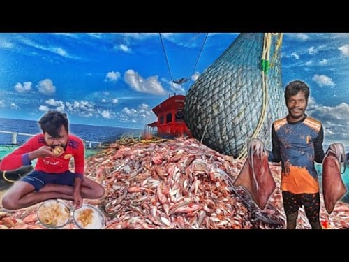 Day-2||Epic2 💢 Lot Of Grouper Fishes Caught And Cooking In Deep Sea💯‼️