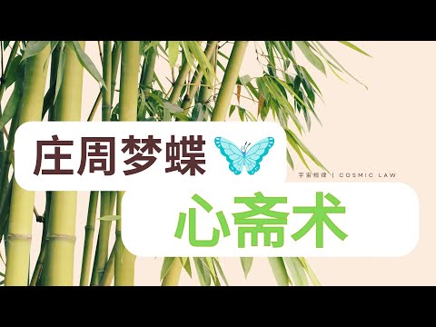 庄周梦蝶 - 心斋术 | 庄子人生哲学 | 庄子智慧 #庄周