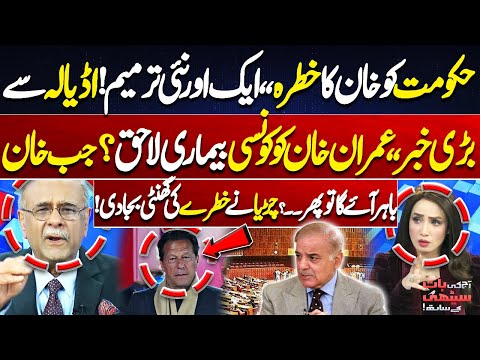 Govt in Big Trouble | New Amendment Alert! What Illness Does Imran Khan Have? | Najam Sethi Analysis