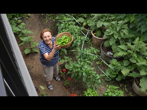 Italian Grandma Makes Fried Italian Peppers
