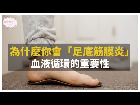 【循環的重要】為什麼你會「足底筋膜炎」?筋膜炎、關節炎與血液循環密不可分的關係!|健康直播精華|賴宇凡Sara