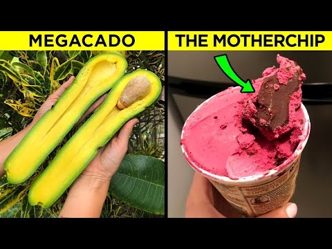 People Who Won The Food Lottery