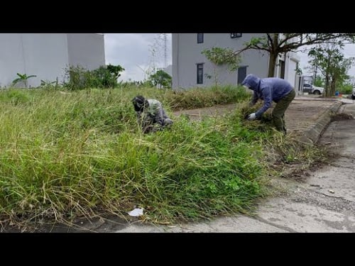 Find the surprise after clearing the overgrown sidewalk and transforming it beautifully
