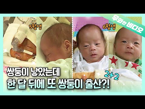 WOWVideo LEGEND💥Gave Birth to Twins Twice a Month Apart!?