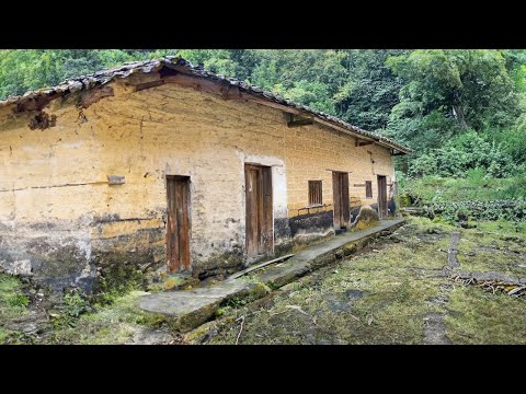 1 YEAR TIMELAPSE ‑ My Daughter Spent $10,000 Helping Me Renovate an Old House | Start to Finish