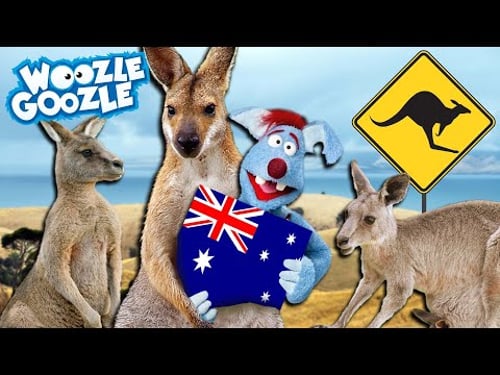 Warum leben Kängurus nur in Australien? l WOOZLE GOOZLE