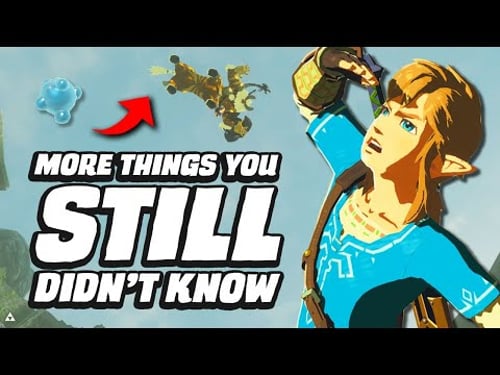 27 MORE Things You STILL Didn't Know In Zelda Breath Of The Wild