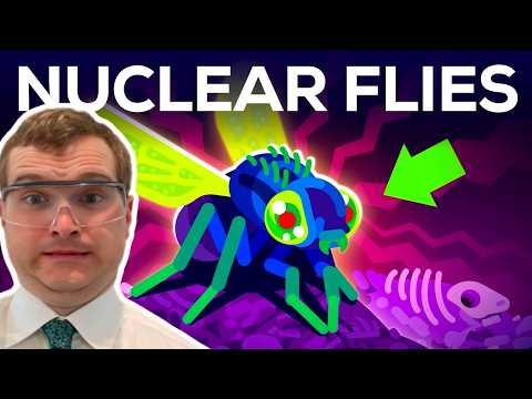 Nuclear Mutant Flies? - Nuclear Engineer Reacts to Kurzgesagt