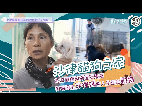 田木・寵丨為流浪貓狗締造安樂窩丨狗場場主沙律媽將人生送給動物丨田木集作
