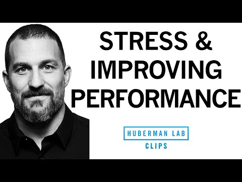 The Impact of Mindset on Stress and Performance | Dr. Andrew Huberman