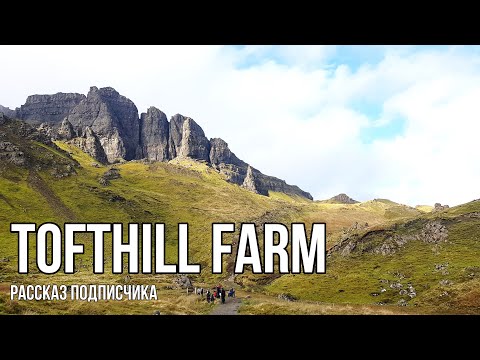 Tofthill Farm - работа на ферме в Шотландии | Сбор клубники на полу | Рассказ от подписчика
