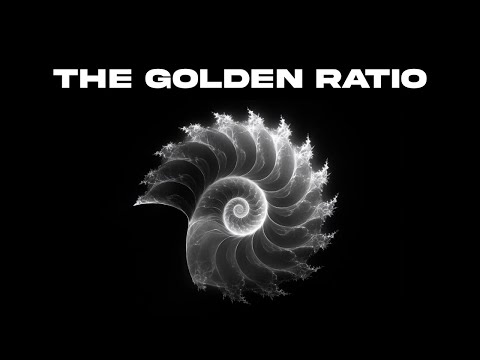 The Hidden Code of Life