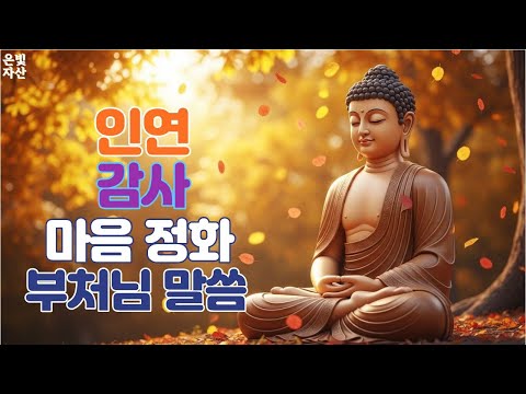 @인연 감사 마음정화 ㅣ부처님 말씀으로 배우는 삶의 지혜|인간관계 잘하는 법|침묵의 힘|마음 다스리는 법|불교 오디오 북|지혜로운 사람 되는 법ㅣ집착을 버려라