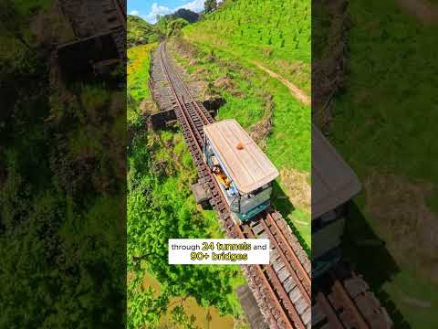 Riding a Rail Cart Through an Abandoned Railway 😳🚂