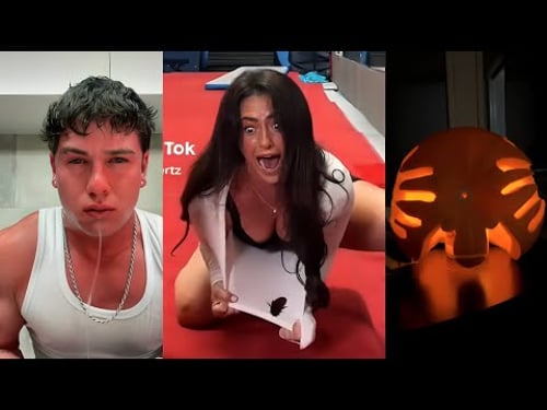 Random videos I watch at 2 a.m. #14