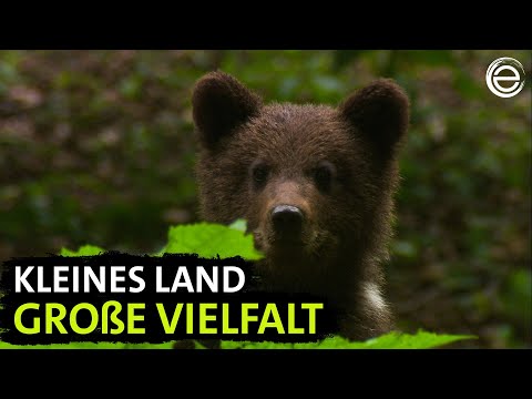 Kroatien ‒ Naturparadies zwischen Donau und Adria | Erlebnis Erde