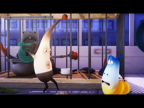 LARVA - BLACK'S ESCAPE | Cartoon Movie | Cartoons For Children | Larva Cartoon | LARVA Official