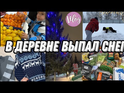 VLOG: Пробует АНАНАС/Теплые ВЕЩИ на ЗИМУ/Закуп ПРОДУКТОВ/Строим ГОРКУ