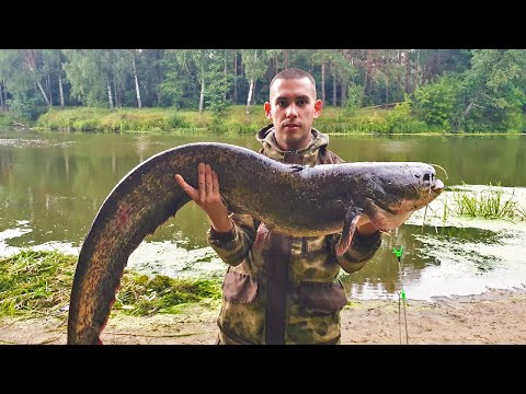 Catfish Fishing | Catfish on the Crawl on the Svisloch