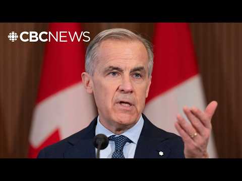 Canada's U.S. ties have become 'weaknesses' that must be corrected: Carney