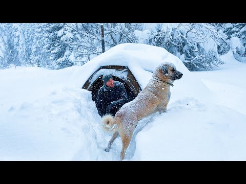 Caught in a Heavy Snowstorm! - Extreme Deep Snow Camping With My Dog!
