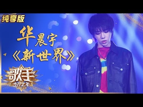 【纯享版】不一样的烟火!华晨宇燃唱里程碑之作 《新世界》 《歌手·当打之年》Singer 2020【湖南卫视官方HD】