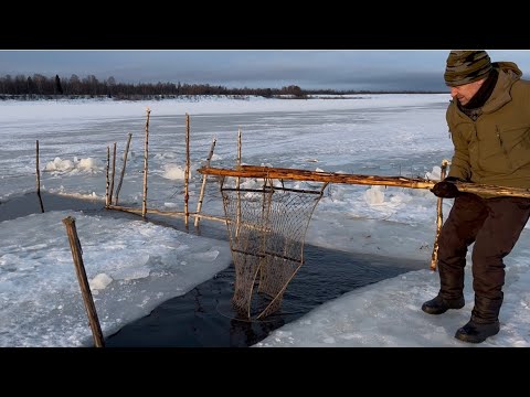 Fishing with wicks and jigs. We were delighted with the catch!