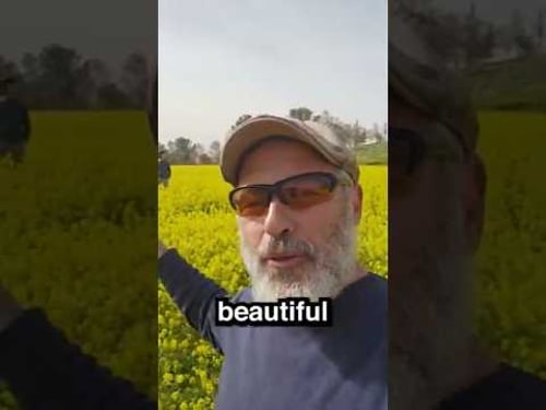 Settling The Land Is The Commandment Of Our Time!