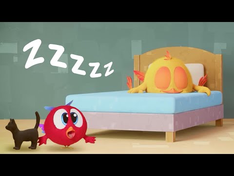 No Nap, Play! | Where's Chicky? | Cartoon Collection in English for Kids | New episodes
