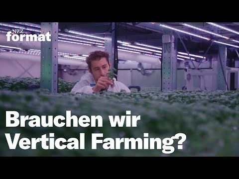 Doku: Vertical Farming – Wie Hightech-Gemüsefabriken die Welt retten wollen