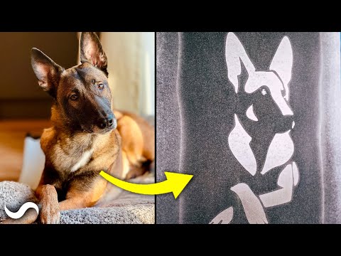 Turning a Picture of My Dog into a Damascus Pattern