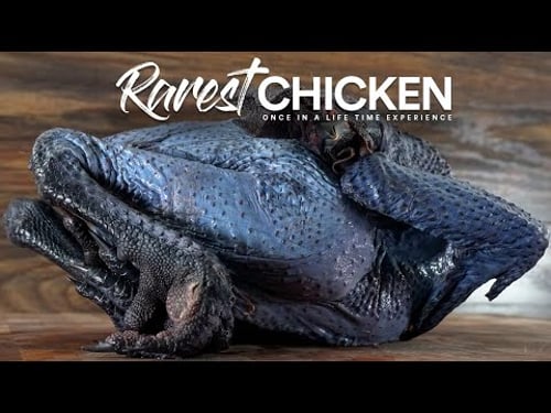 We tried the RAREST Chicken I could find!