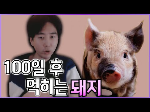 100일 후에 먹히는 돼지, 도덕적으로 옳은가?