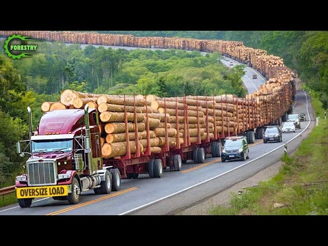 Extreme Dangerous Big Logging Wood Truck Driving Skill | Fastest Chainsaw Cutting Tree Machines #15