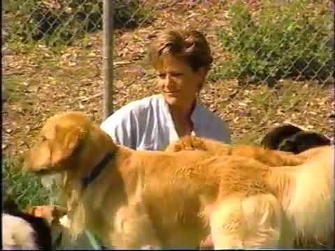 Top Dog Country Club on Minnesota Bound