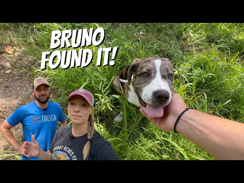 IT WAS ON OUR PROPERTY!