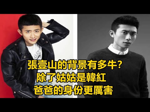 张一山的背景有多牛?除了姑姑是韩红,爸爸的身份更厉害