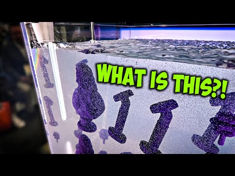 3D Printing in HAIR GEL?! My Top 5 from Rapid + TCT 2025