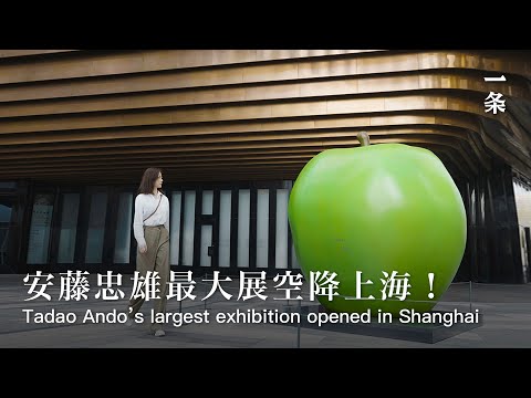 安藤忠雄中國雙展!上海、順德看點 Two Hot Tadao Ando Exhibitions in China, Highlights of Shanghai and Shunde Included