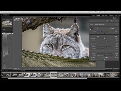 Mastering Lightroom Classic CC: 1 - Quick Start