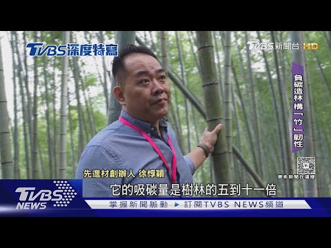 雨林中的COP30缺「美」前行 巨大分歧恐難解|TVBS新聞 @TVBSNEWS01