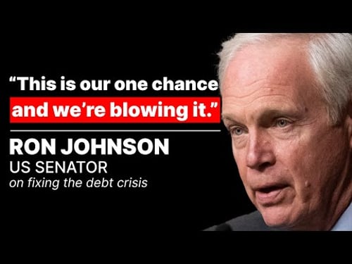 Senator Ron Johnson on the Senate showdown over Trump's Big Beautiful Bill | All-In Interview