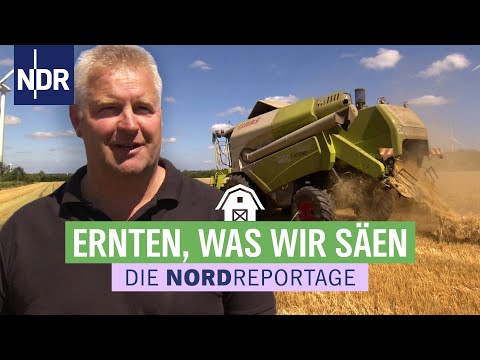 Die Kruppas - Hitzeschlacht bei der Ernte | Re-Upload Die Nordreportage CLASSICS vom 20.08.18 | NDR