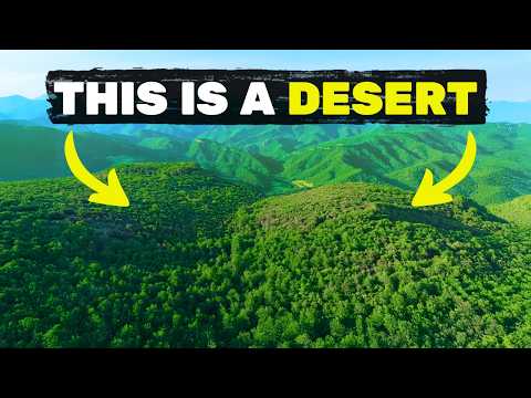 Why we need to cut down these trees